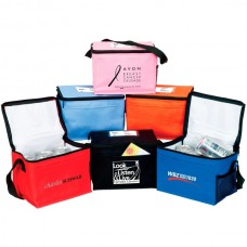 Bedford 6 pack Insulated Cooler