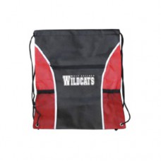 Imprinted Recyclable Drawstring Backpack - Shipping and Imprint Included!